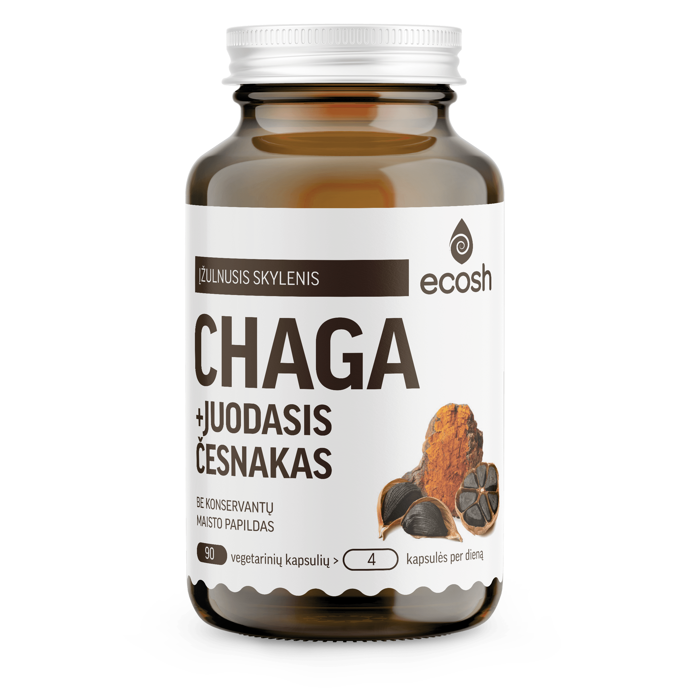 chaga