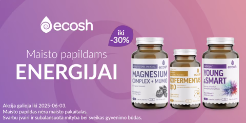 Maisto papildai energijai