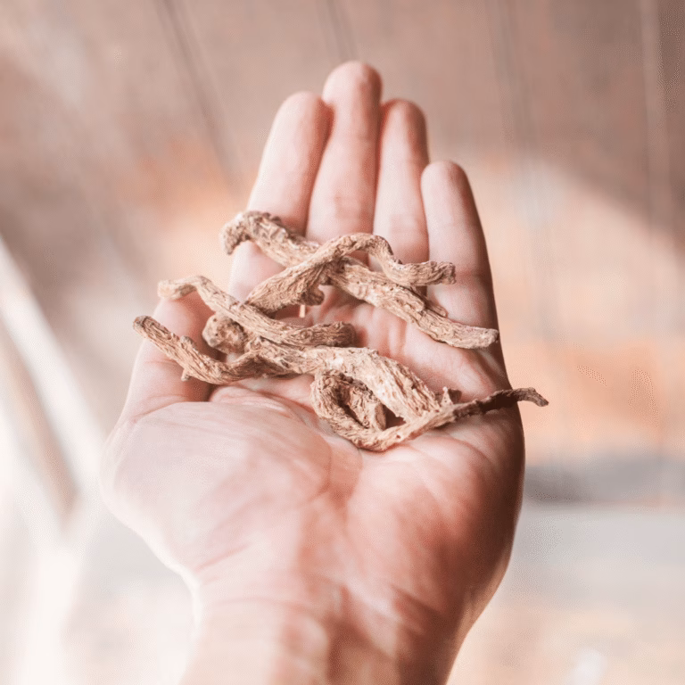 Read more about the article Dong Quai nauda moterims menopauzės ir perimenopauzės laikotarpiu