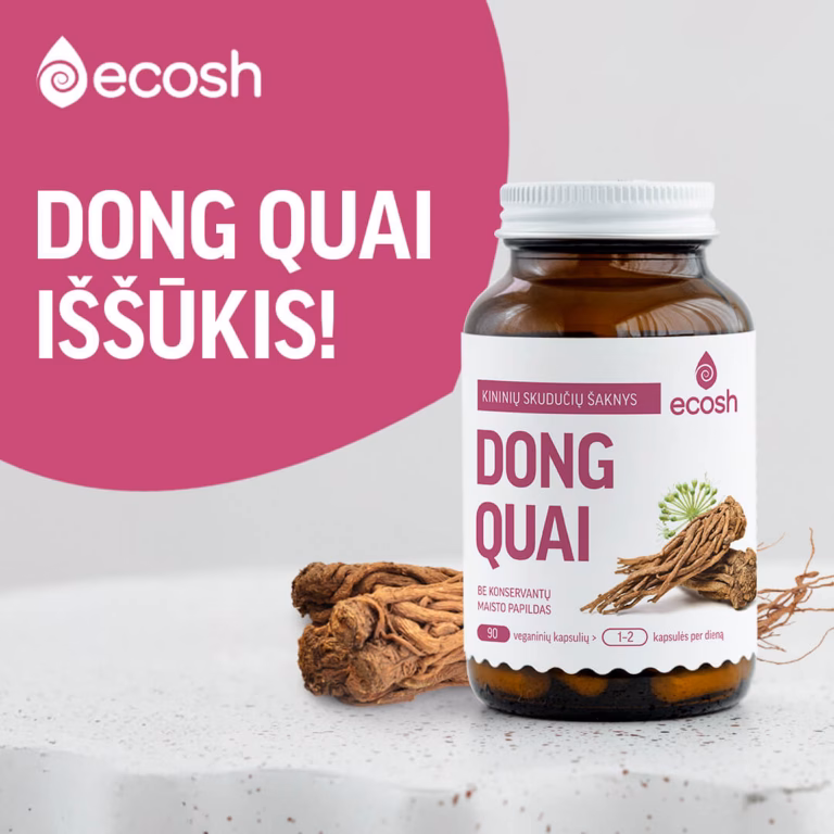 Read more about the article ECOSH Dong Quai iššūkis 2026